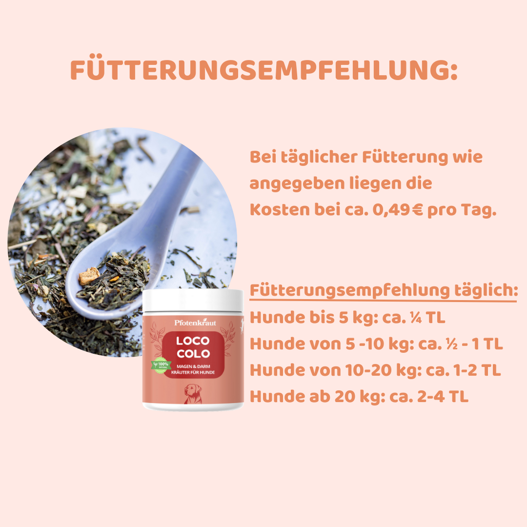 schleim auf kot beim hund