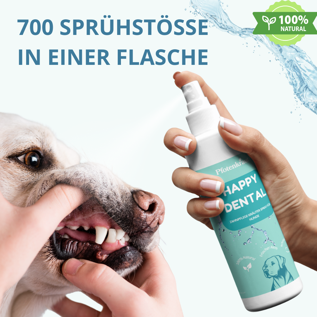 Pflanzliche Unterstützung zur Maulhygiene Zahnstein Hund