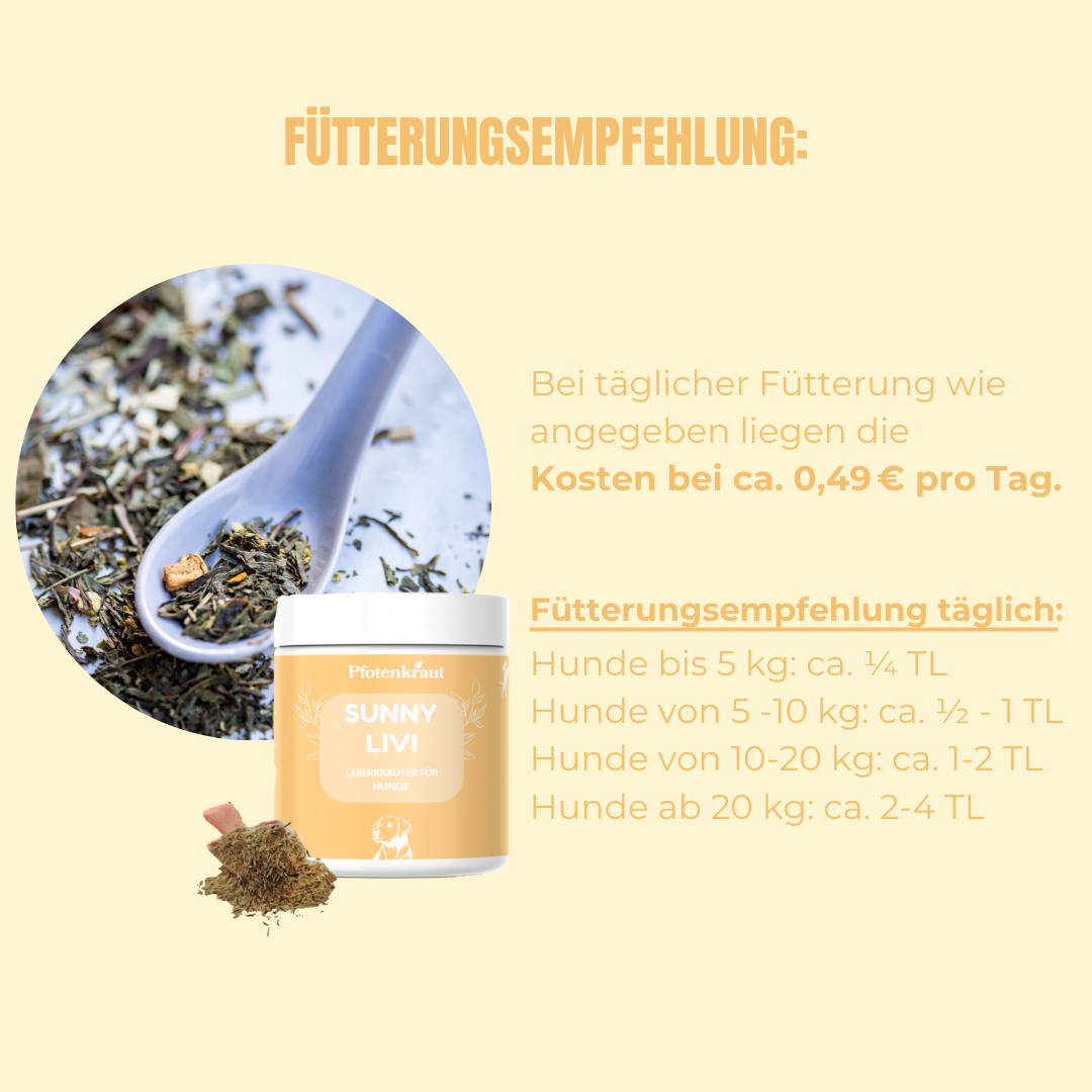 Allergie beim Hund Kräuter