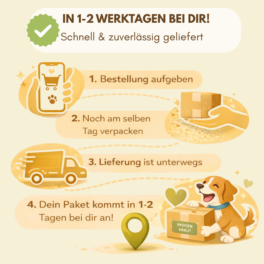 lieferung schnell leber kräuter hund