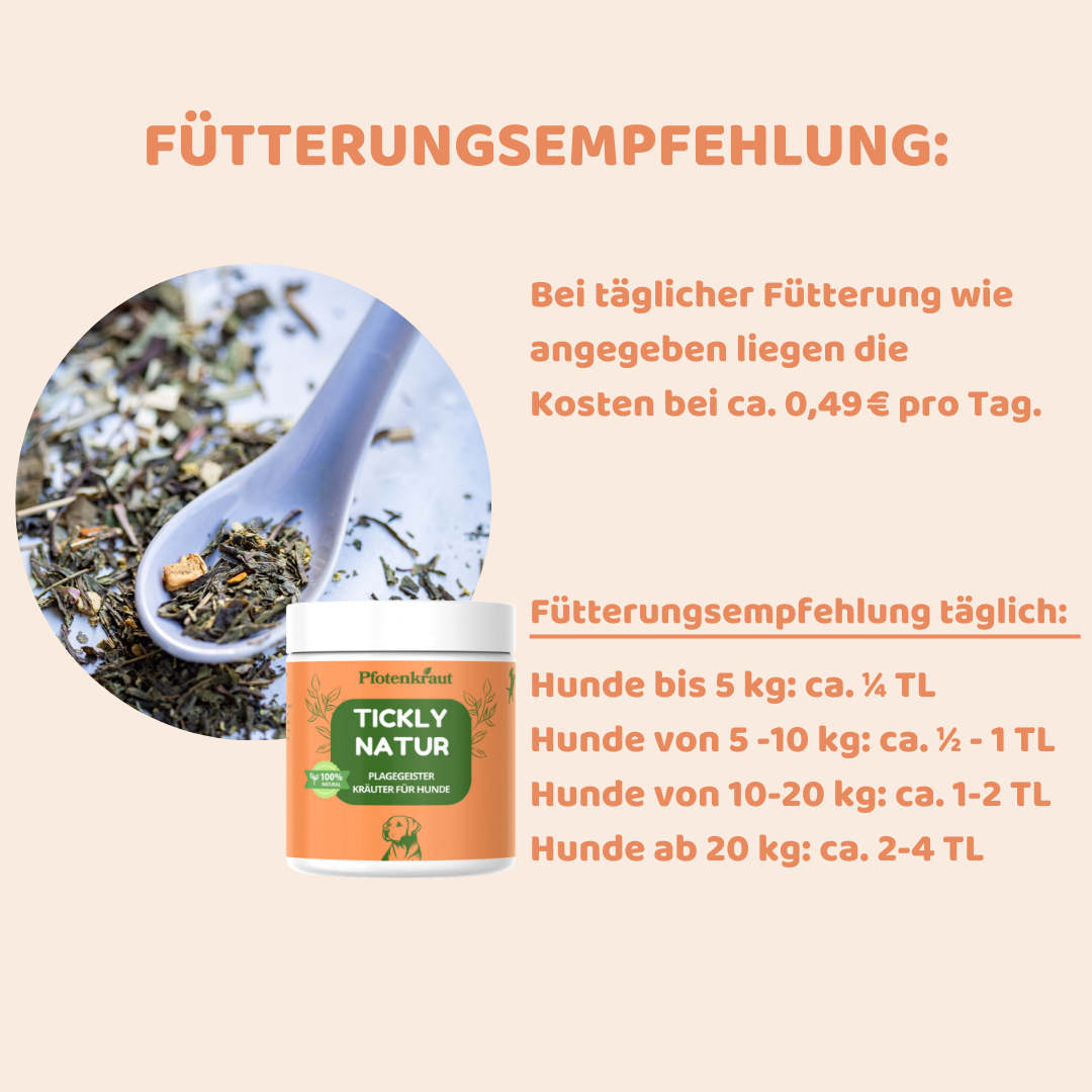 günstige Kräuter für Hunde