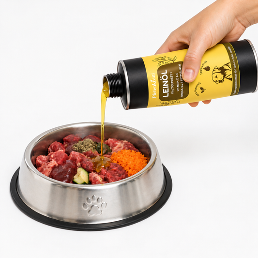 Leinöl zum bargen Pfotenkraut