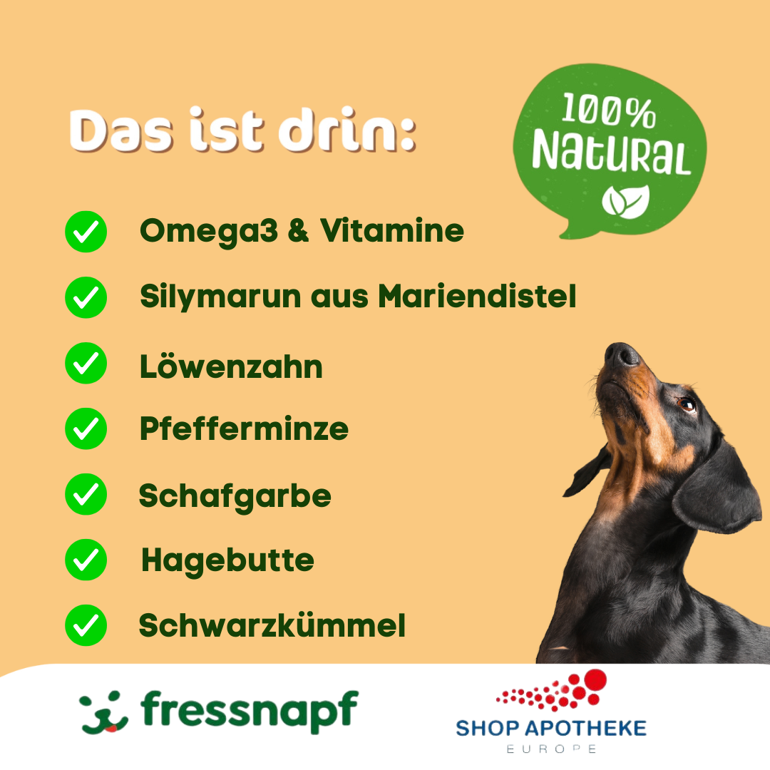 Lipom bei Hund behandeln ohne chemie