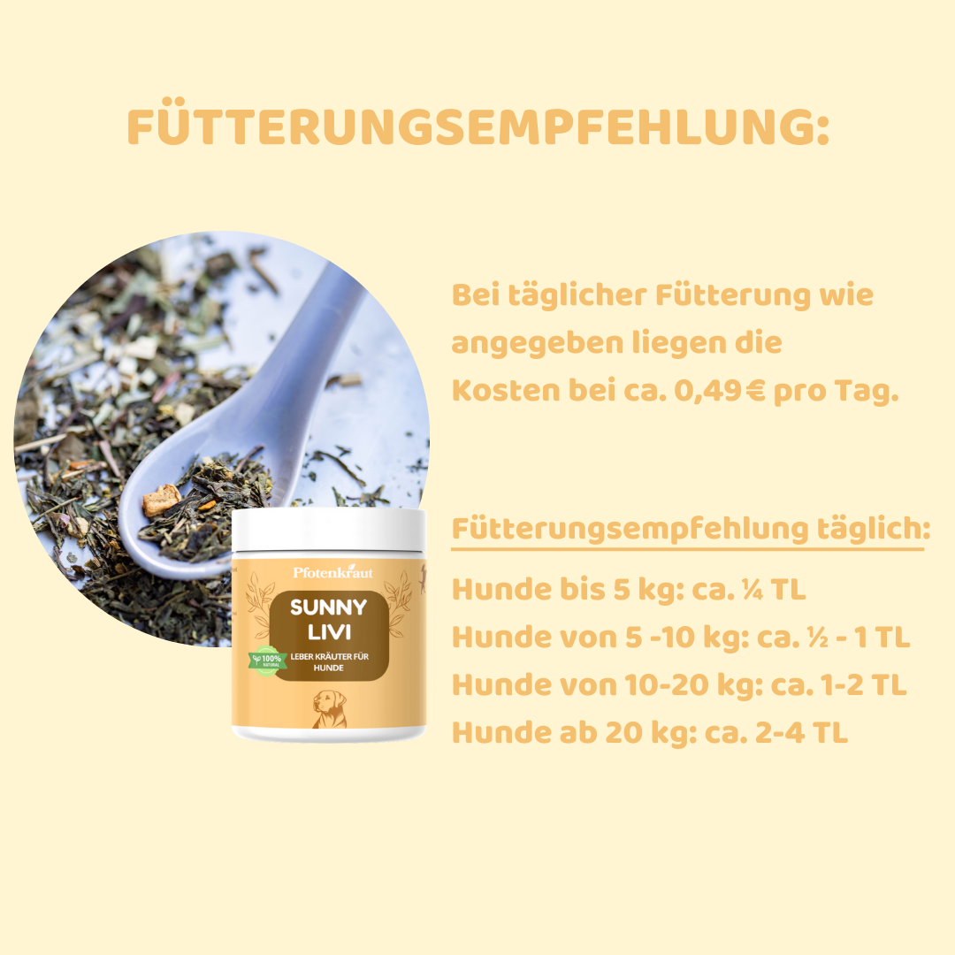 Leberkräuter für Hunde Leber Hund unterstützen Pfotenkraut