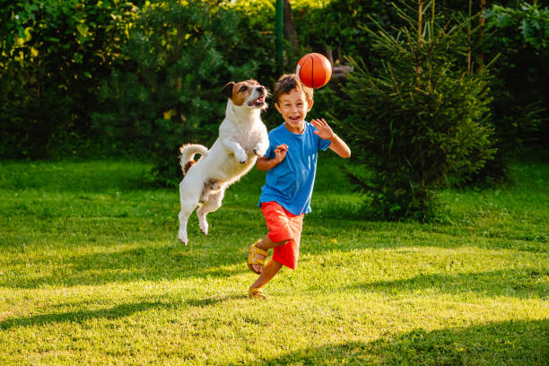 Flöhe beim Hund behandeln ohne Chemie
