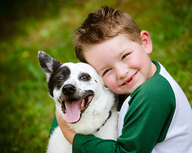 Zecken beim Hund: Vorbeugen und bekämpfen Was sind Zecken?