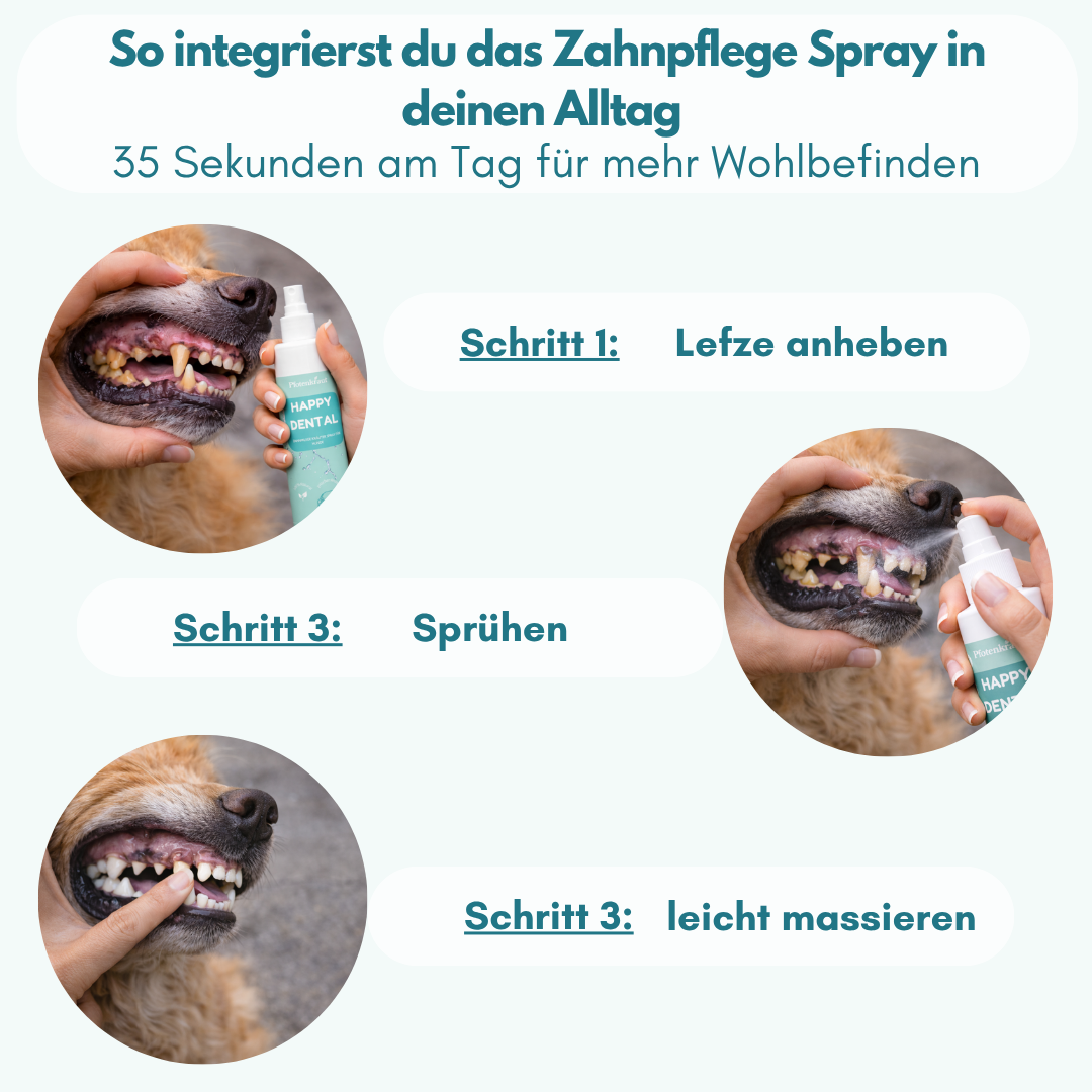 spray gegen zahnstein hund
