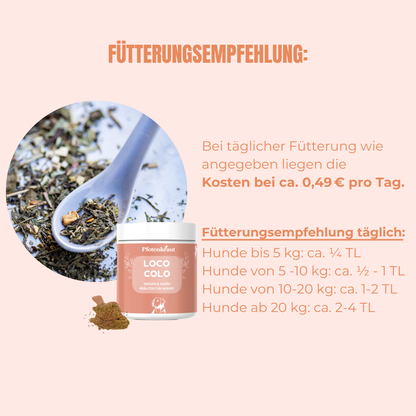 Pfoten lecken Hund was hilft