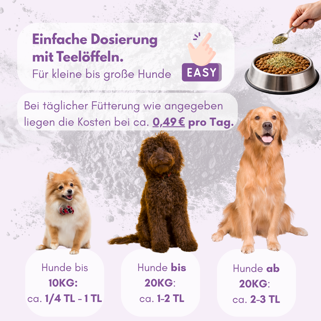 nierendiät für hunde
