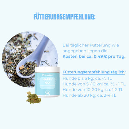 Gelenkprobleme beim Hund