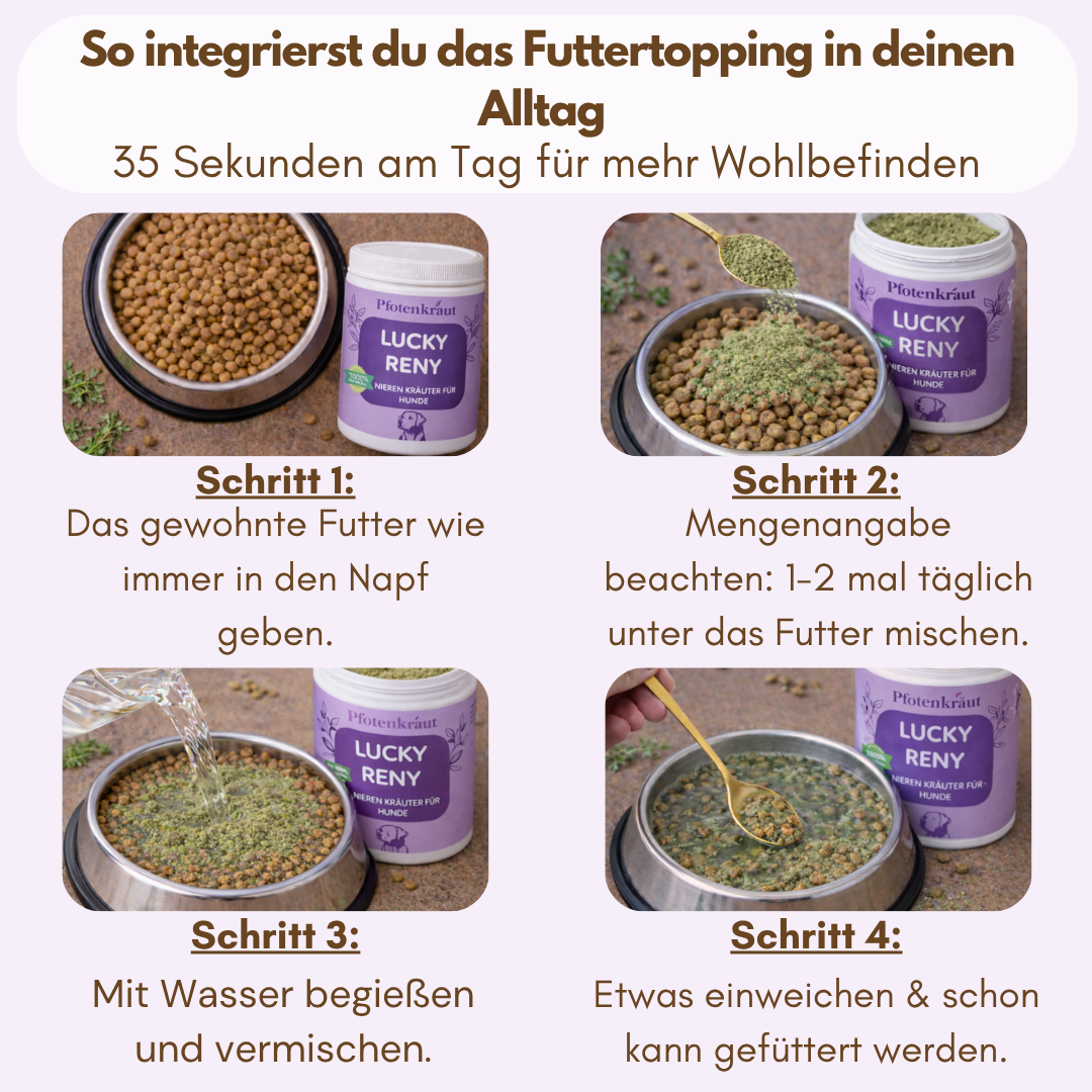 Futtertopping anwendung alltag nieren