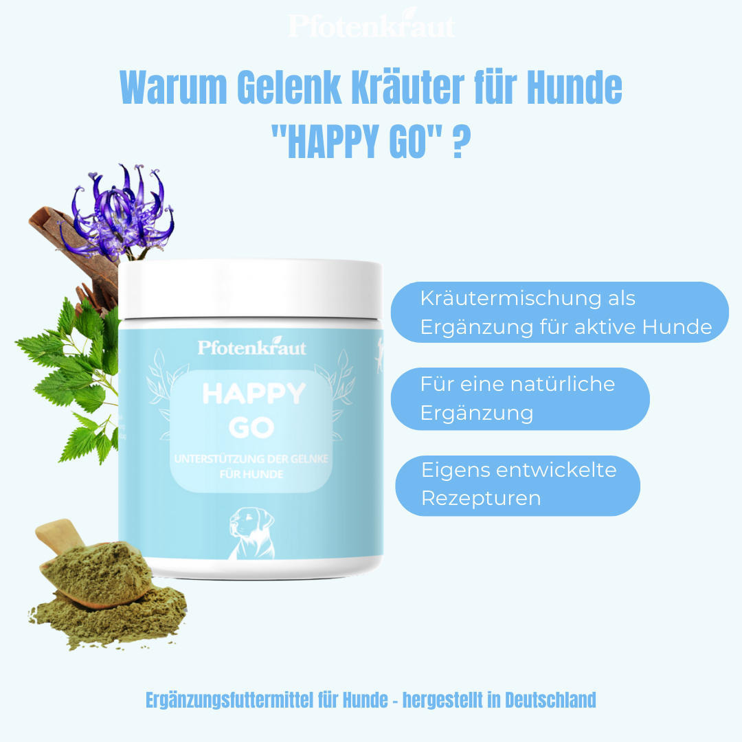 Arthrose beim Hund was hilft