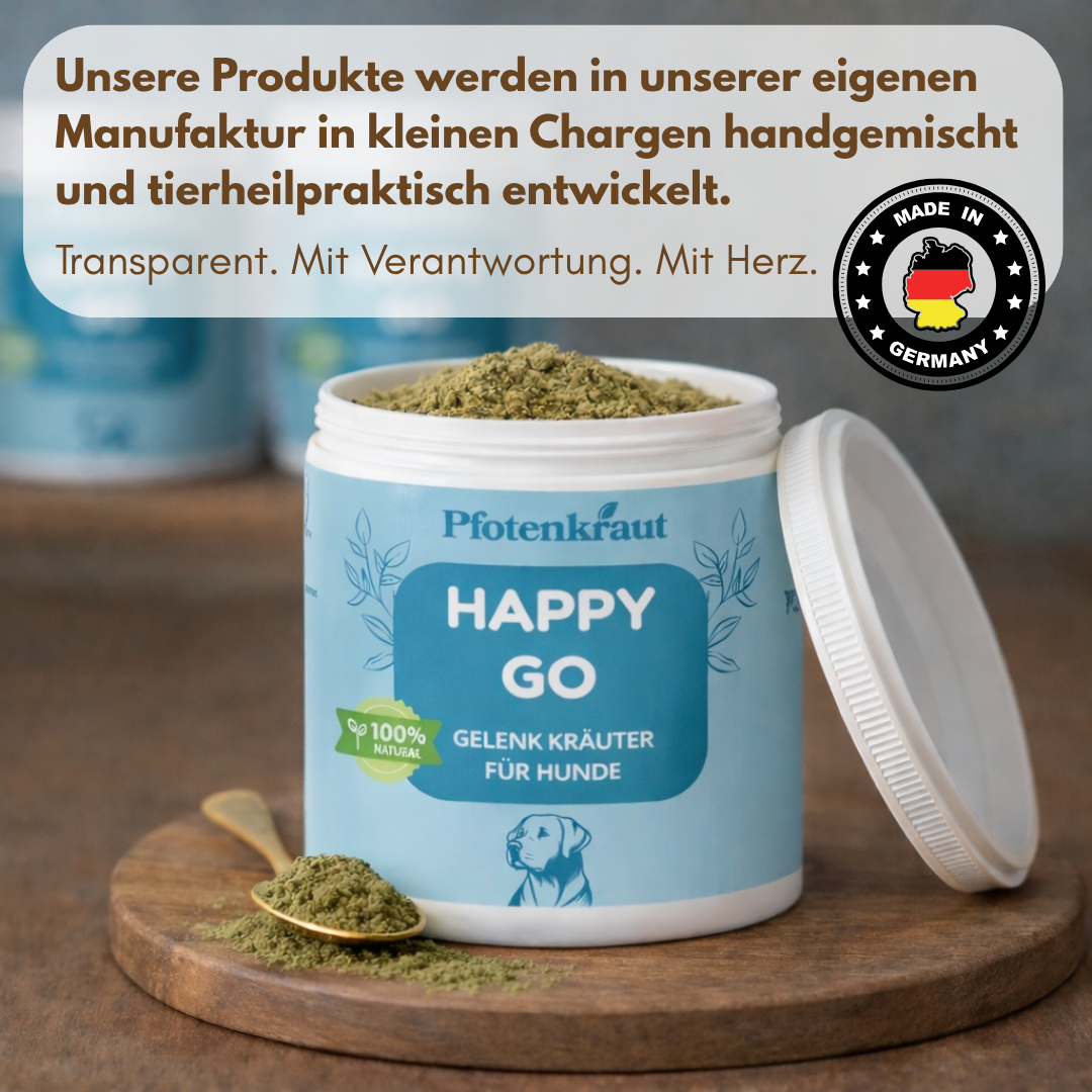 Bewegung Hund