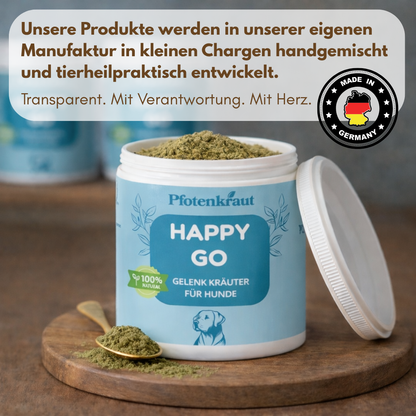 Bewegung Hund