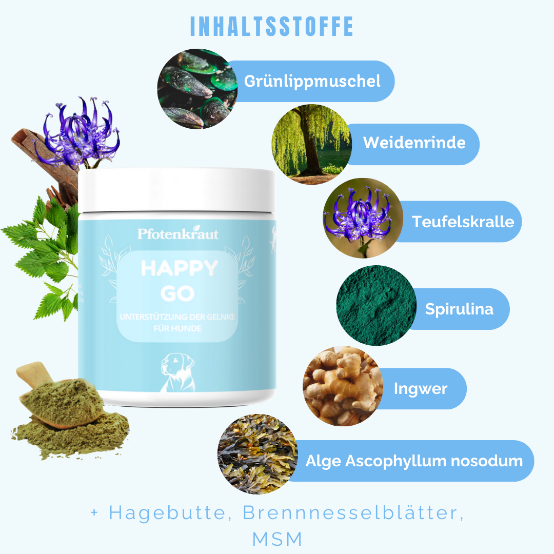 Kräuter Sondylose Hund hausmittel