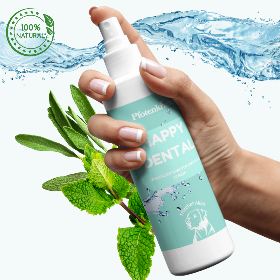 Zahnpflege-Spray für Hunde – Zur sanften Anwendung im Maul von Hunden.