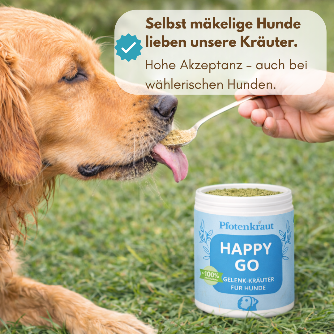 Kräuterpulver für Hunde zur Unterstützung von Gelenke