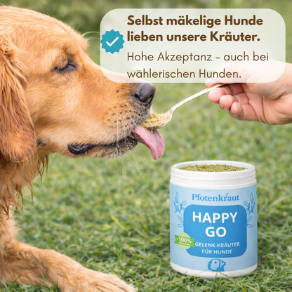 Kräuterpulver für Hunde zur Unterstützung von Gelenke