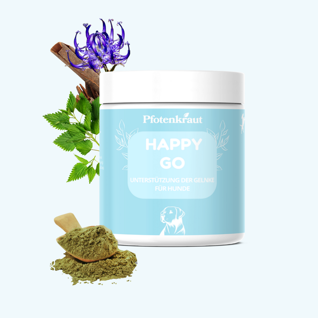 Gelenk Kraeuter fuer hunde