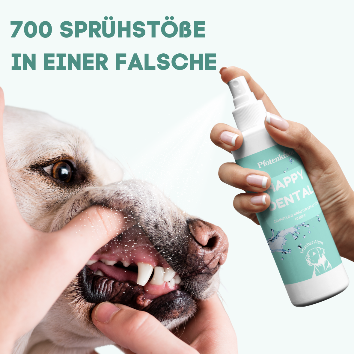 Pflanzliche Unterstützung zur Maulhygiene