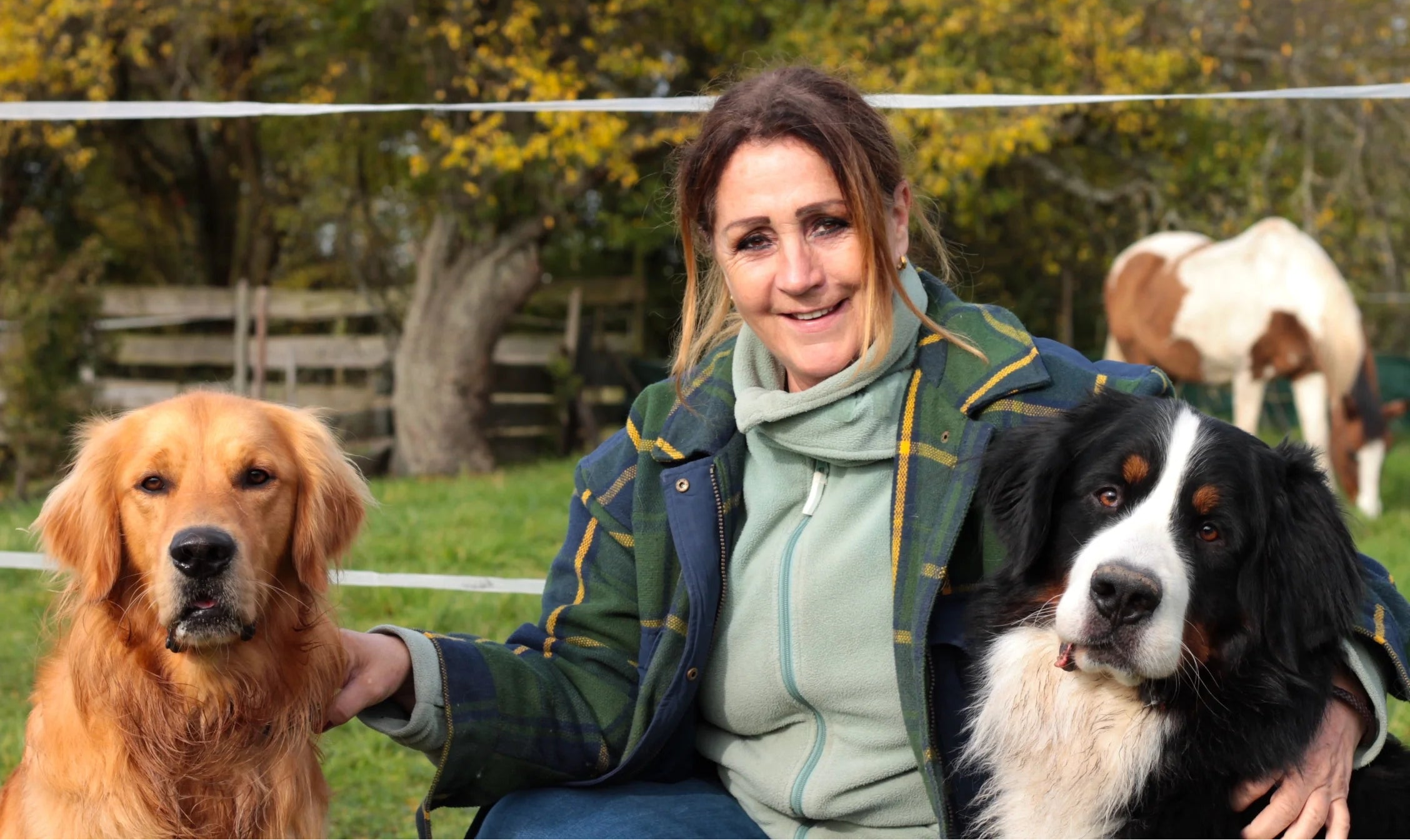 Kräuter für Hunde Pfotenkraut