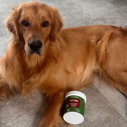 Mineralien für Hunde ''VitMin''