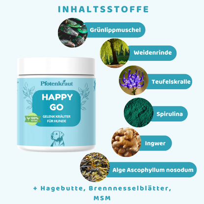 Arthrose beim Hund was hilft