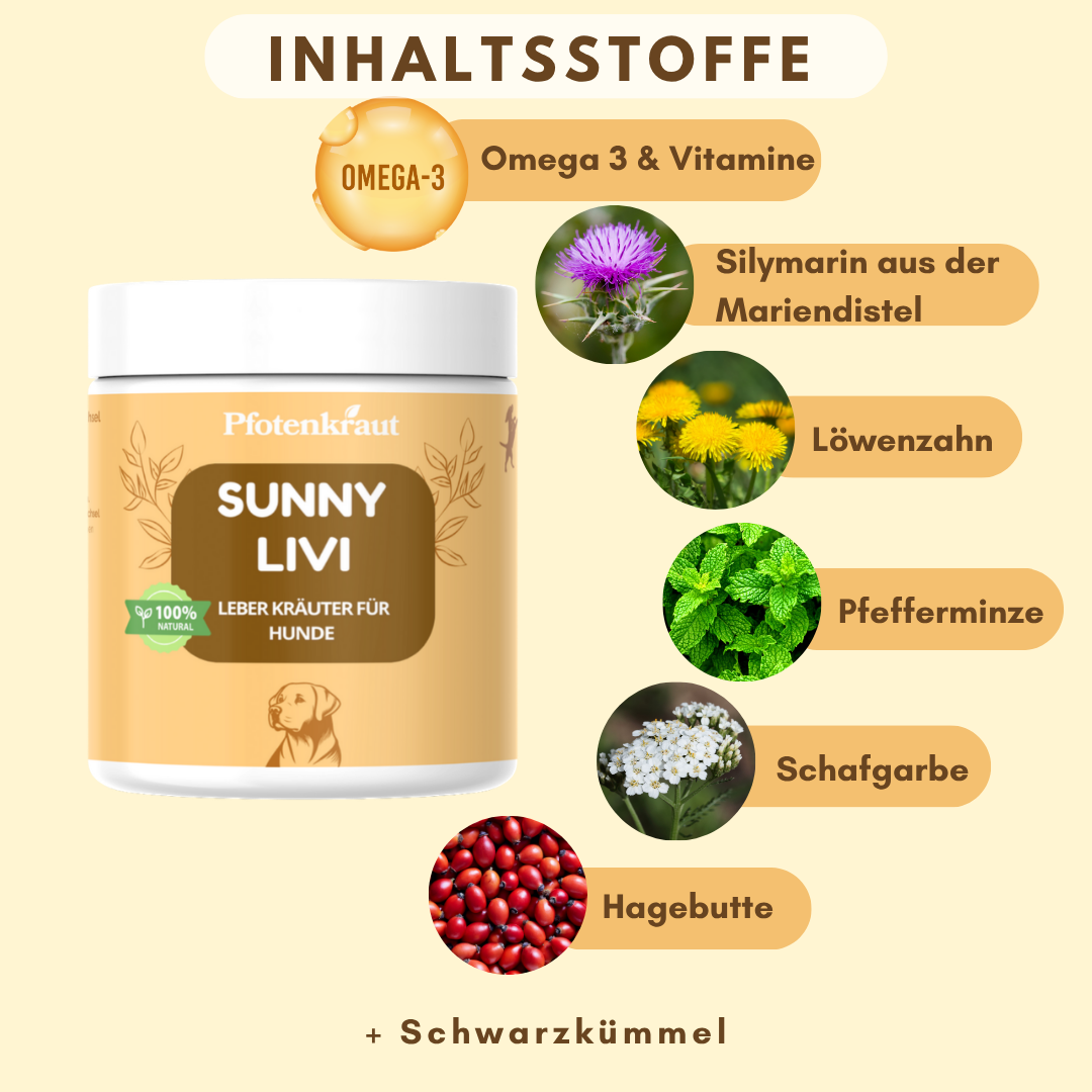 Inhaltsstoffe Hunde Leber Kräuter