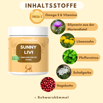 Inhaltsstoffe Hunde Leber Kräuter