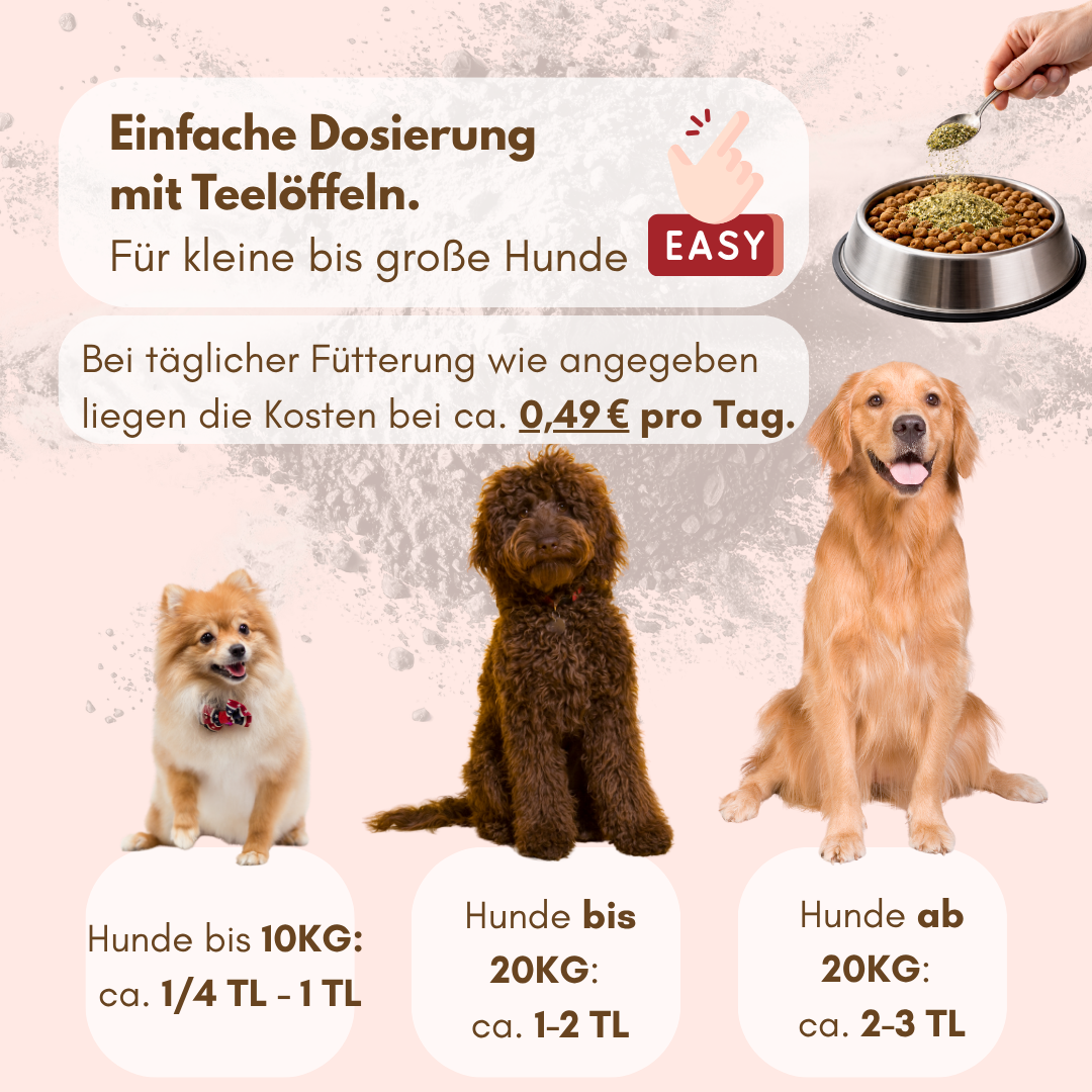 Darmprobleme Hund Dosierung