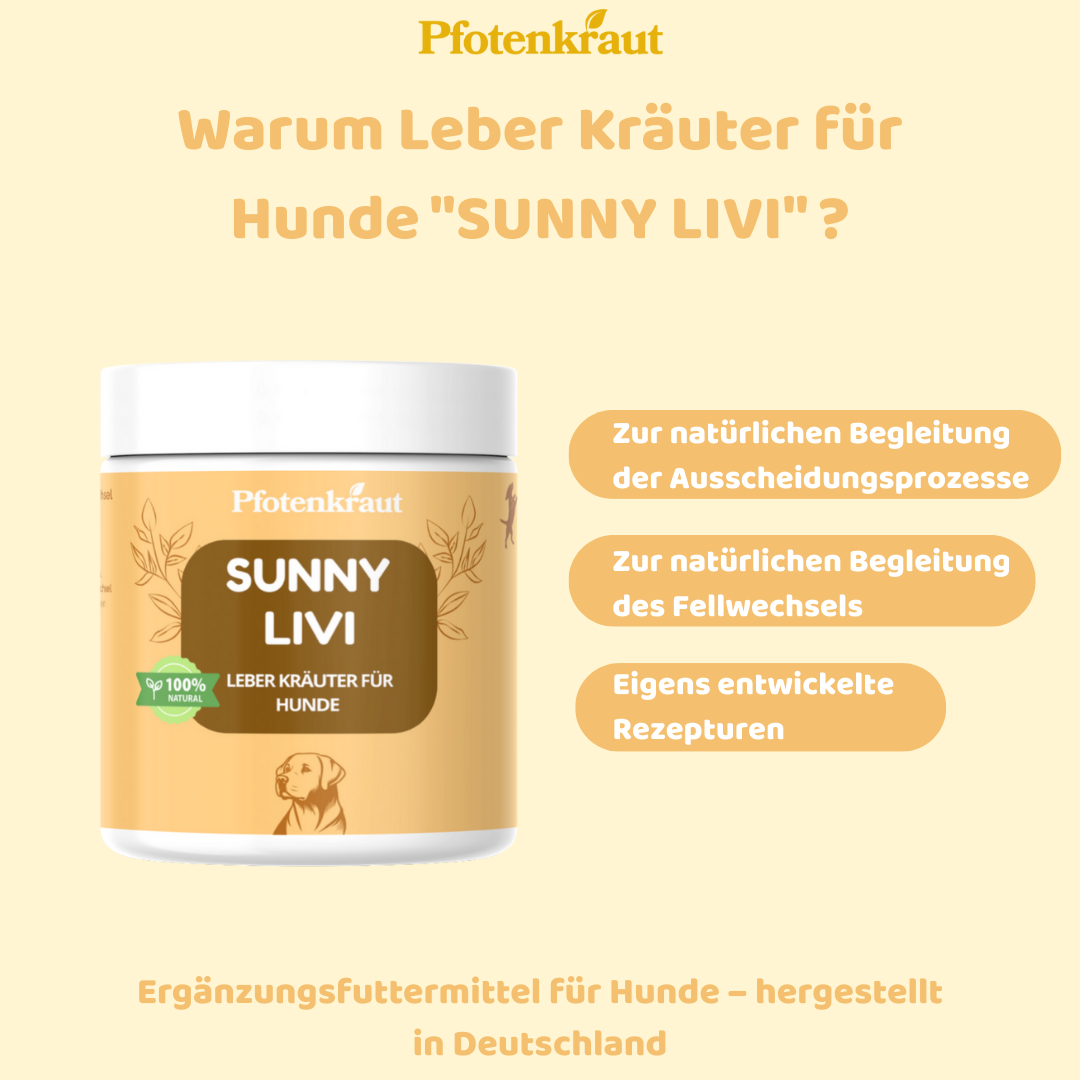 Fellwechsel beim Hund