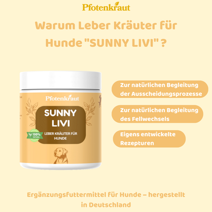 Fellwechsel beim Hund