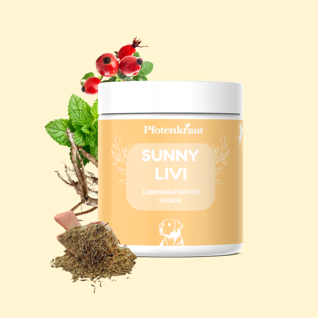 Hundekraeuter allergie