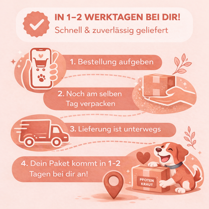 Magen und Darm Kräuter schnell