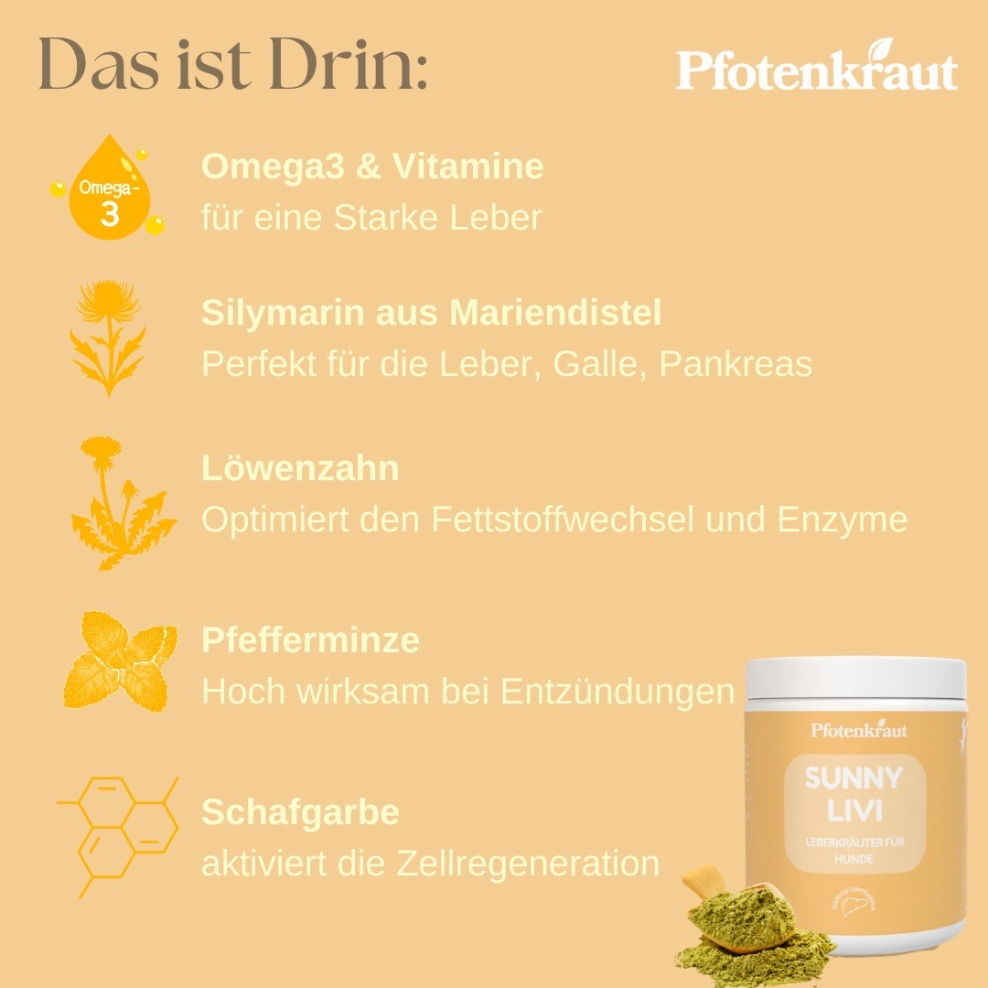 Lipome bei hunden welche kräuter