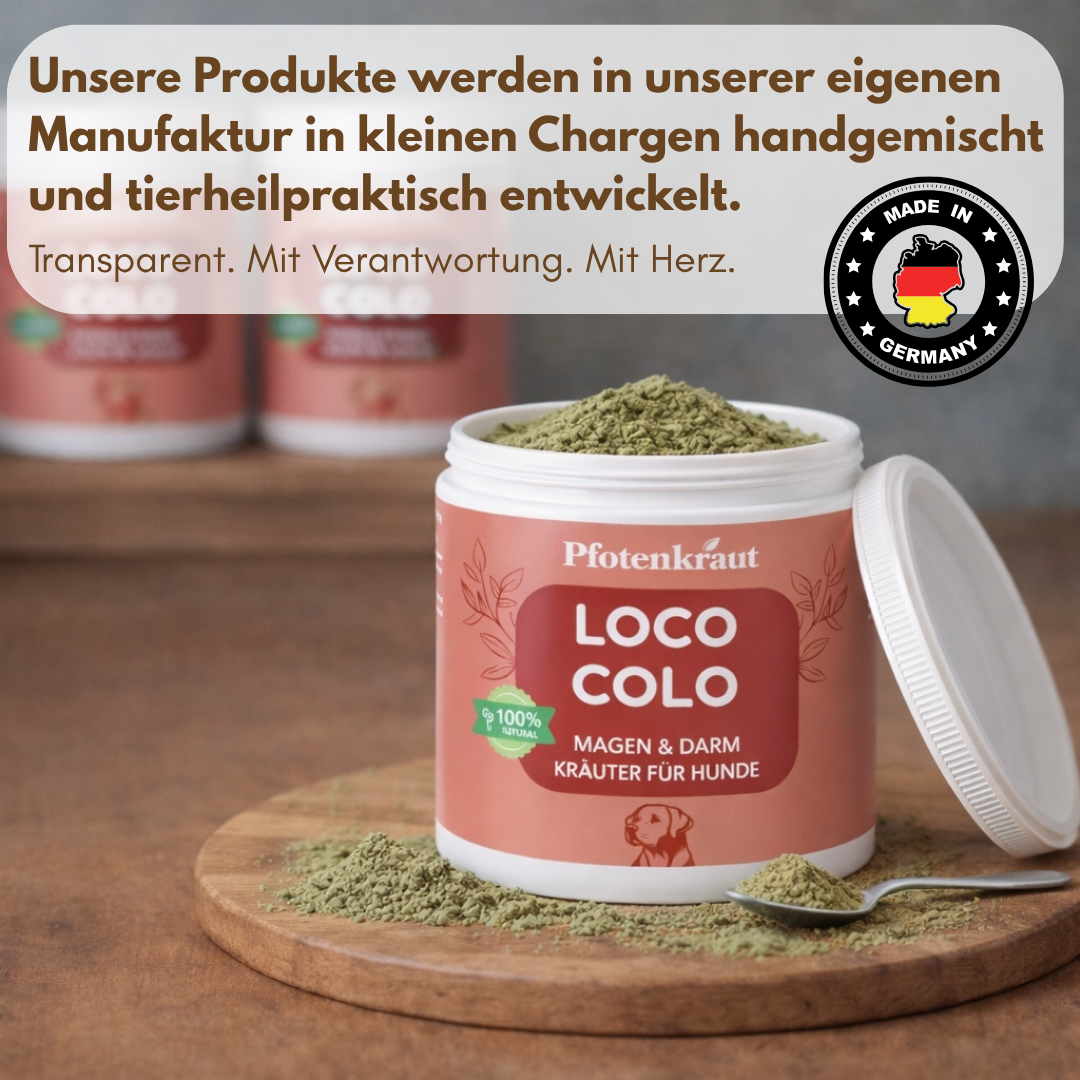 Magen Kräuter Hund