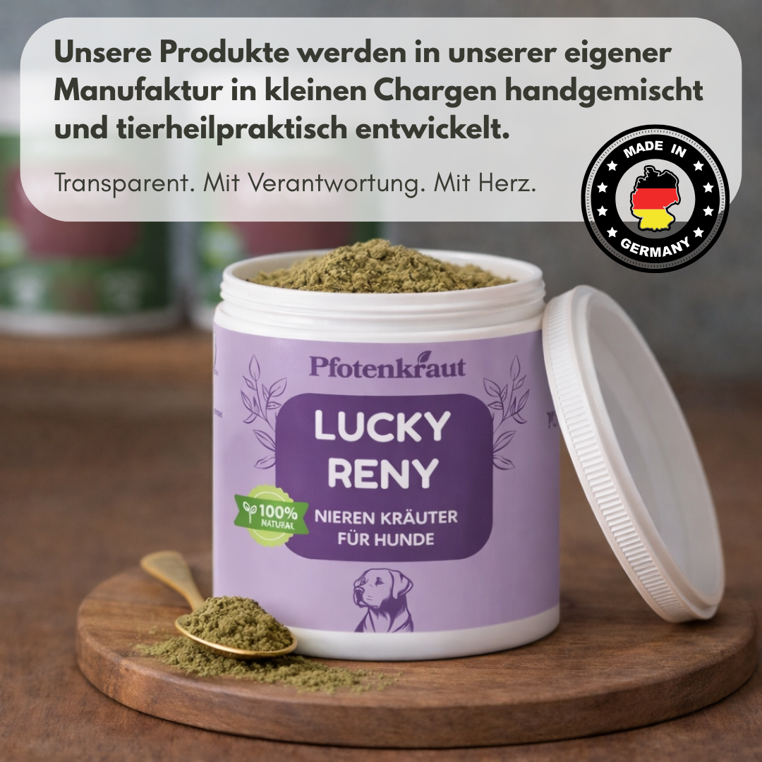 Nierenkräuter für Hunde