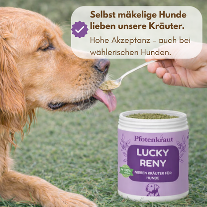 Futtertopping Hund Niere