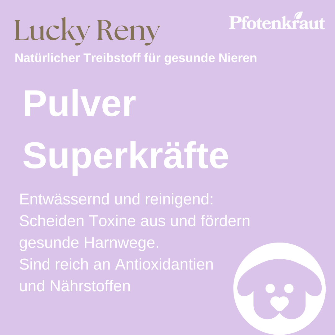 Nierenpulver fuer Hunde