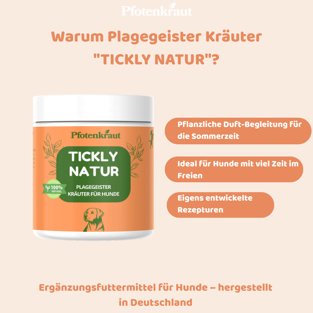 natürliches mittel Zecken Hund