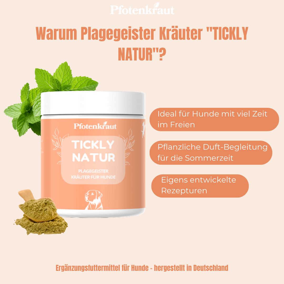 Zeckenprävention fürr hunde