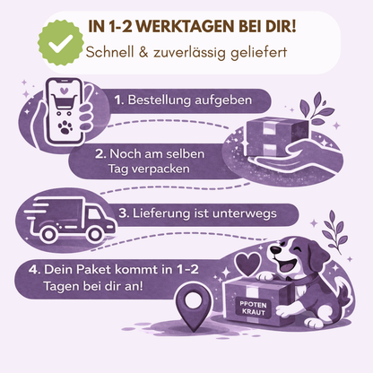 schnelle lieferung nierenkräuter hund