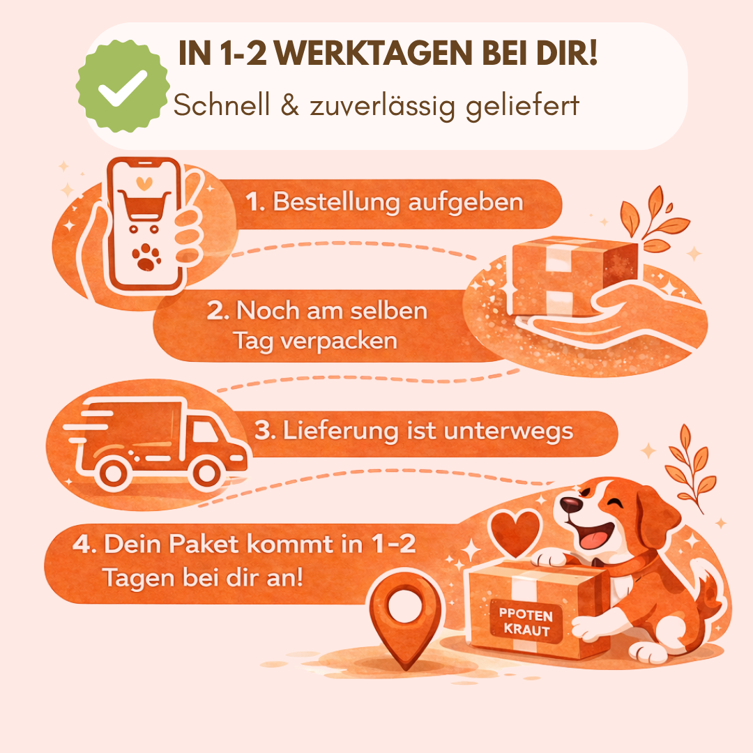 schneller versand Hunde topping pfotenkraut