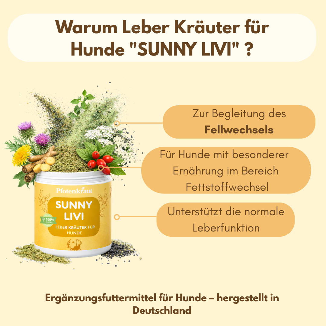 Leber Kräuter für Hund