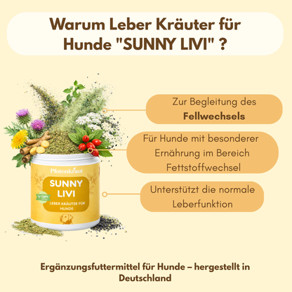 Leber Kräuter für Hund