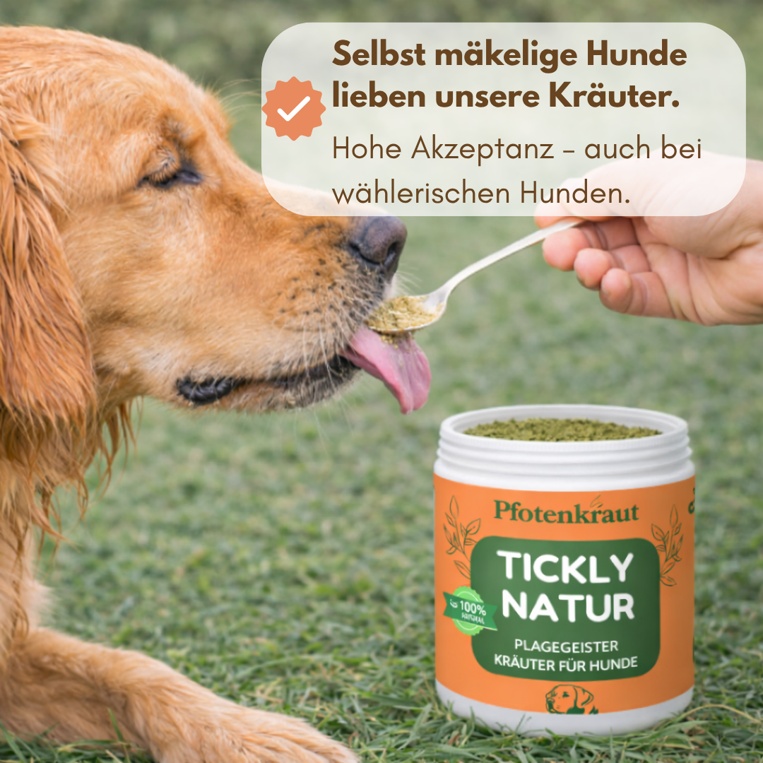 Tickly Natur Pfotenkraut schutz Hund akzeptanz