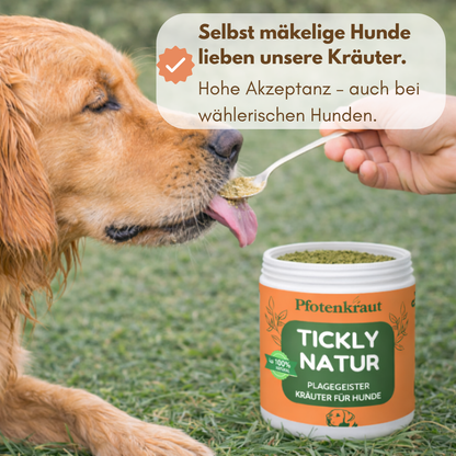 Tickly Natur Pfotenkraut schutz Hund akzeptanz