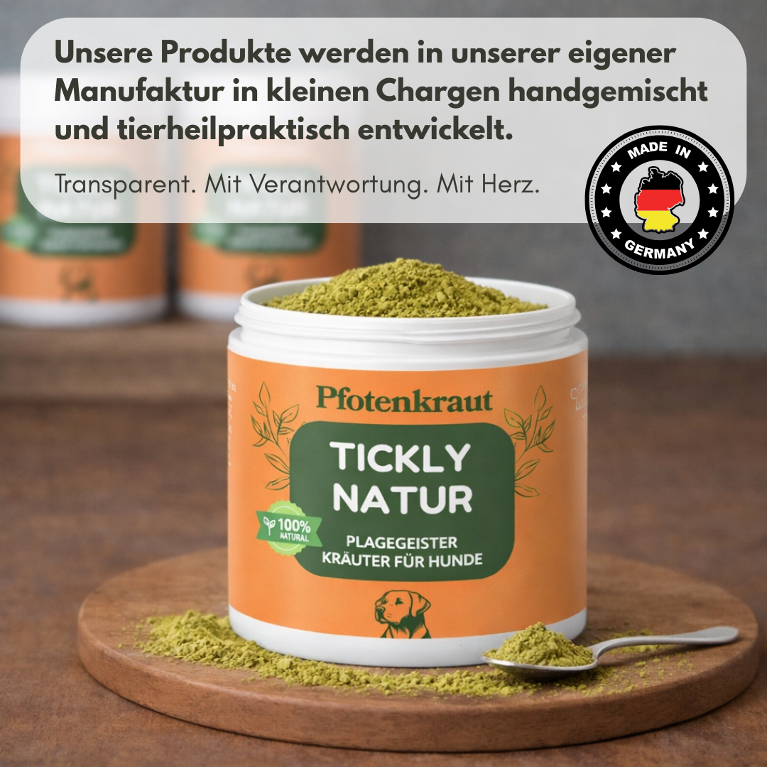 Kräuter Für Hunde Pfotenkraut