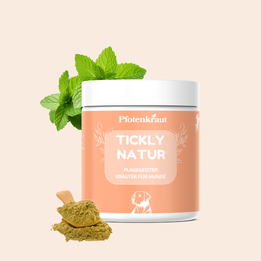Plagegeister Kräuter für Hunde - Natürliche Kräutermischung für Abenteuer im Freien