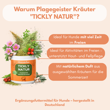 hausmittel gegen plagegeister frühling hund
